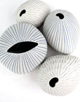 Pebble Small - Chalk Ripple