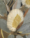 Australian Bottlebrush Framed Art Print
