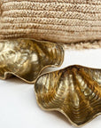 Brass Clam Shell