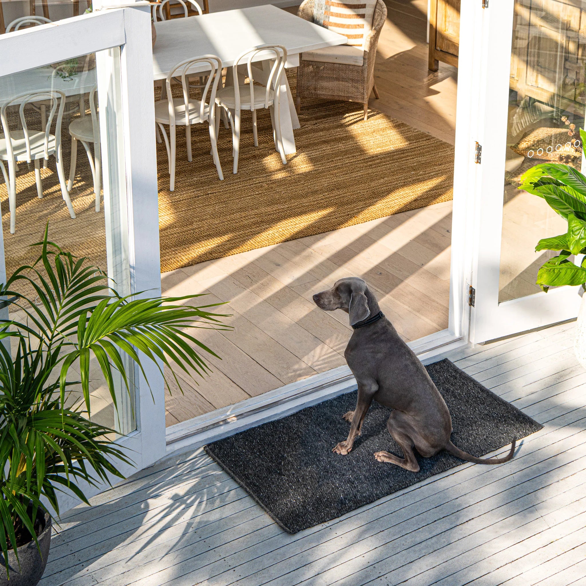 【doormats】2016年全日本種目別体操 完全版　約13300枚 Zebra Clements Outdoor/Indoor Doormat – Jarvis + Jarvis Home