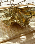 Brass Clam Shell