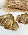 Brass Clam Shell