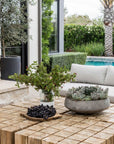 Uniqwa Hamali Block Coffee Table - Natural