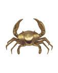 Brass Mud Crab
