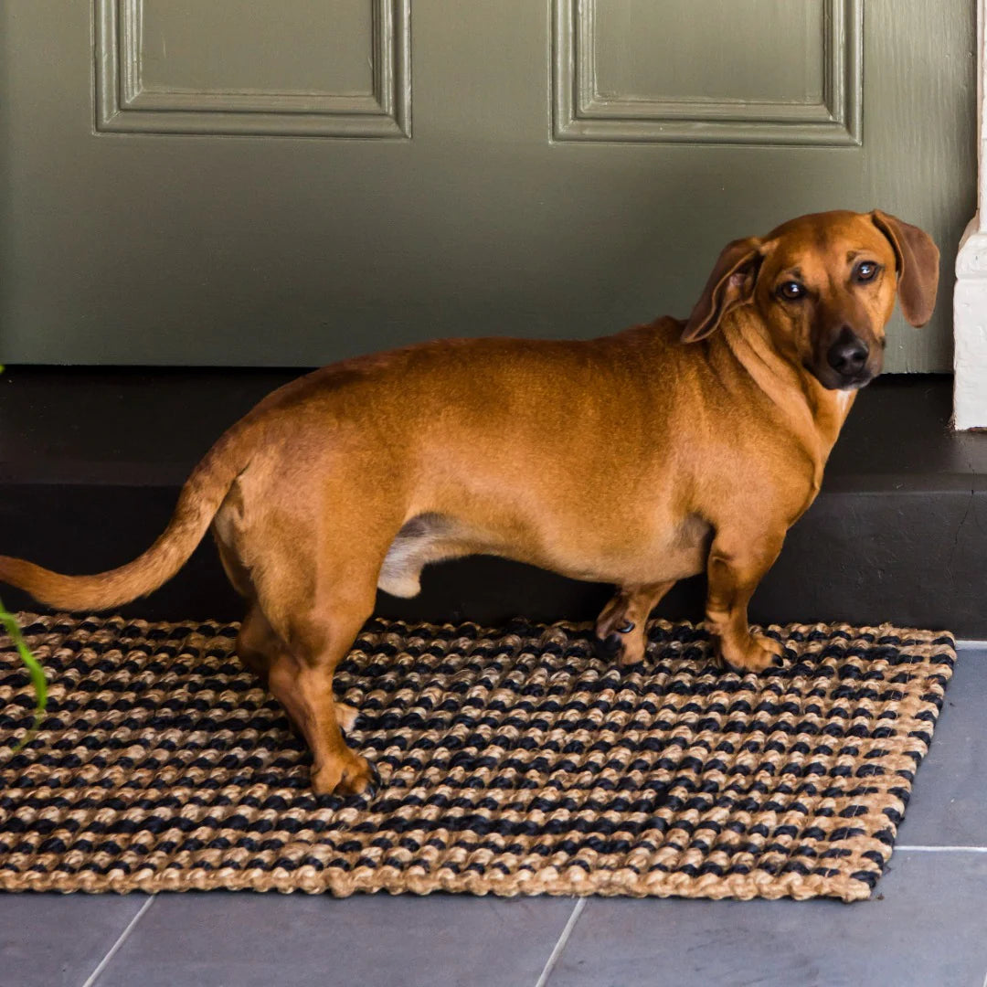 Zebra Caravan Jute Stripe Mat
