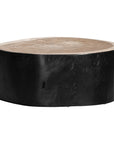 Uniqwa Trunk Coffee Table