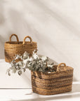 Coralie Market Baskets