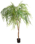 Willow Tree 1.8m