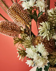 Banksia Spray Coffee