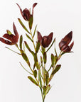 Protea Leucadendron Spray - Burgundy Green