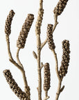 Bottlebrush Pod Spray - Brown