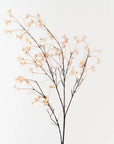 Mini Wild Flower Spray - Coffee