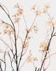 Mini Wild Flower Spray - Coffee