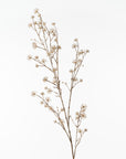 Cornus Spray - Natural