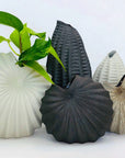 Spiral Vase - Brown