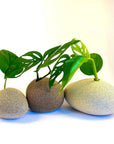 Pebble Vase - Brown Sand