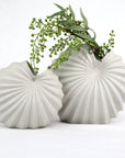 Spiral Vase - Chalk Etch
