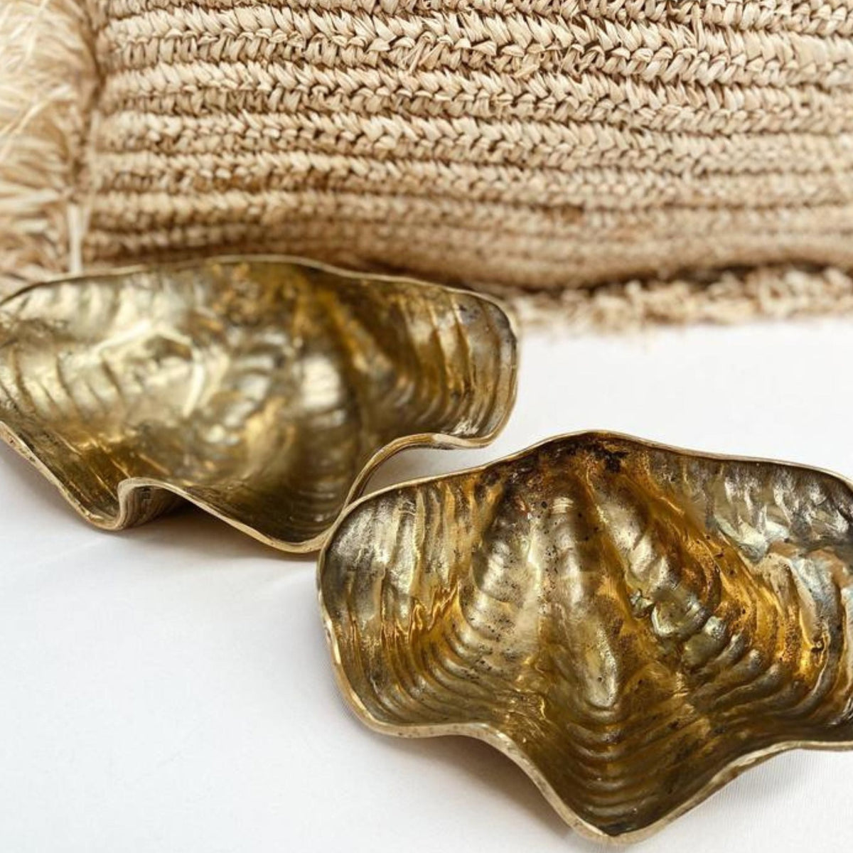 Brass Clam Shell – Jarvis + Jarvis Home