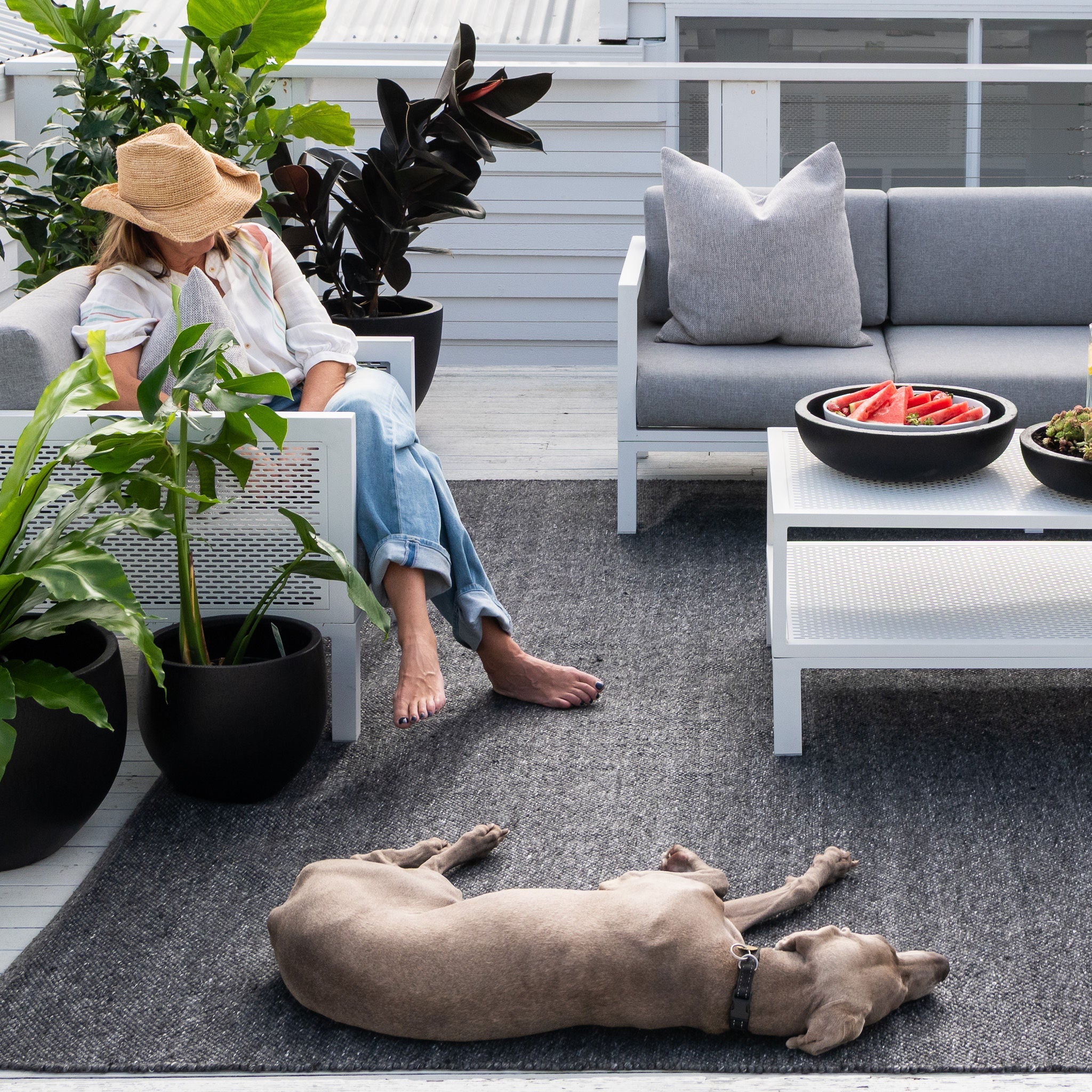 Zebra Clements Outdoor/Indoor Rug