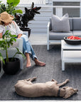 Zebra Clements Outdoor/Indoor Rug