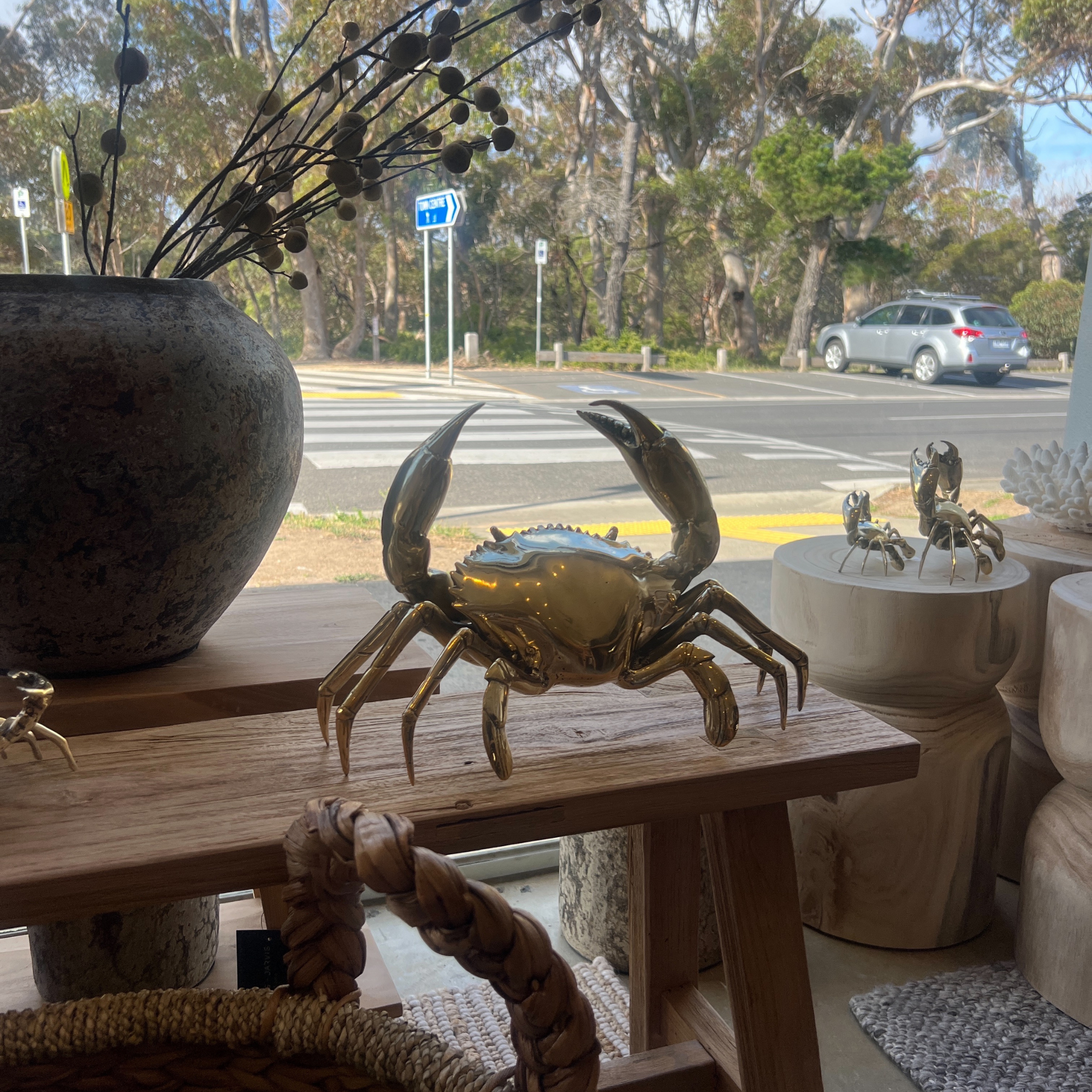 Brass Mud Crab