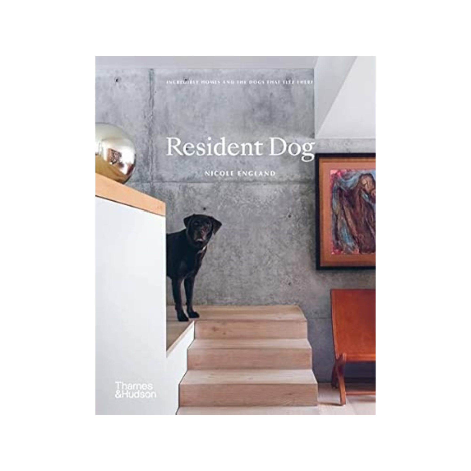 Resident Dog