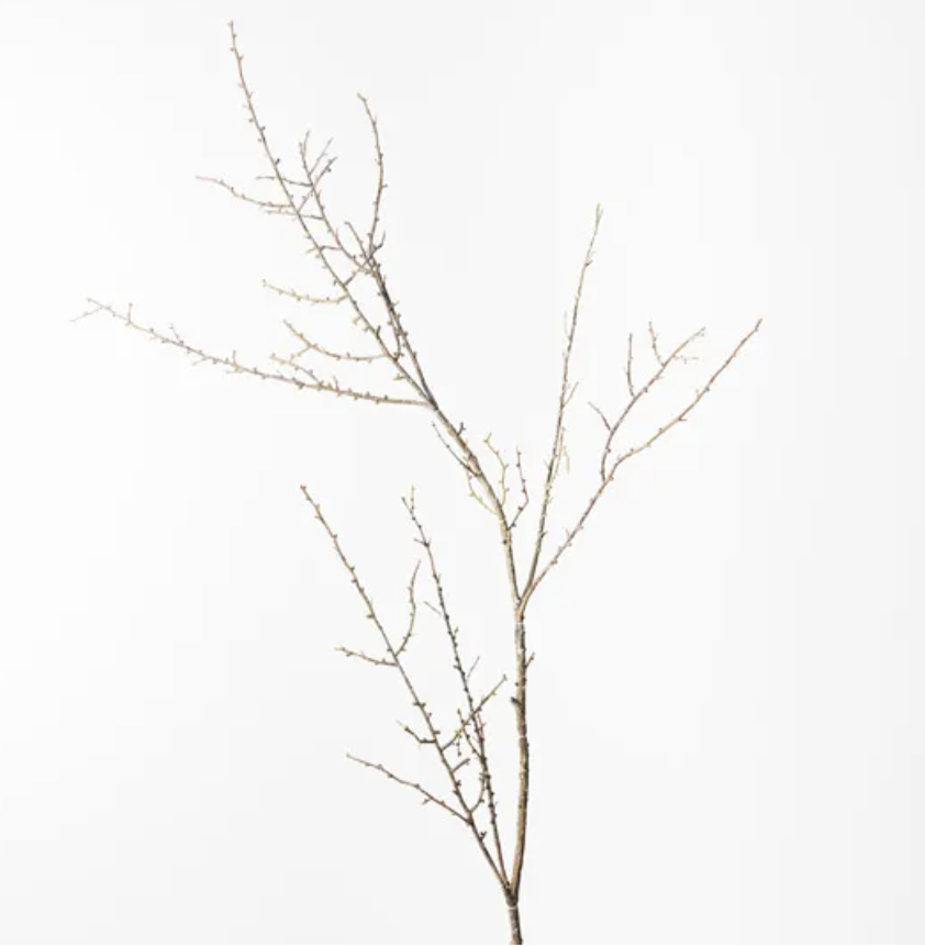 Twig Spray - Brown