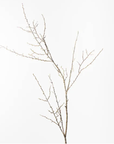Twig Spray - Brown