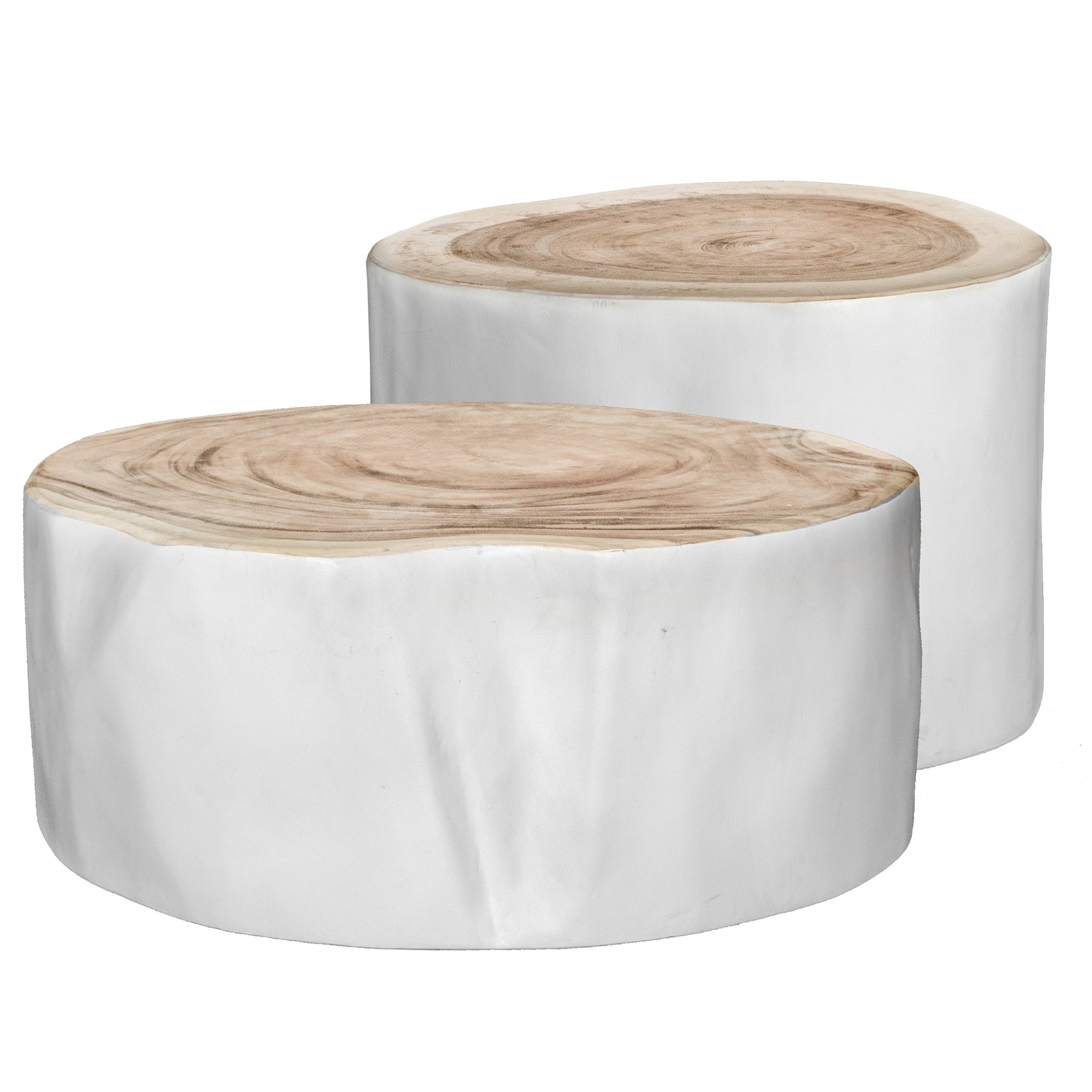Uniqwa Trunk Coffee Table