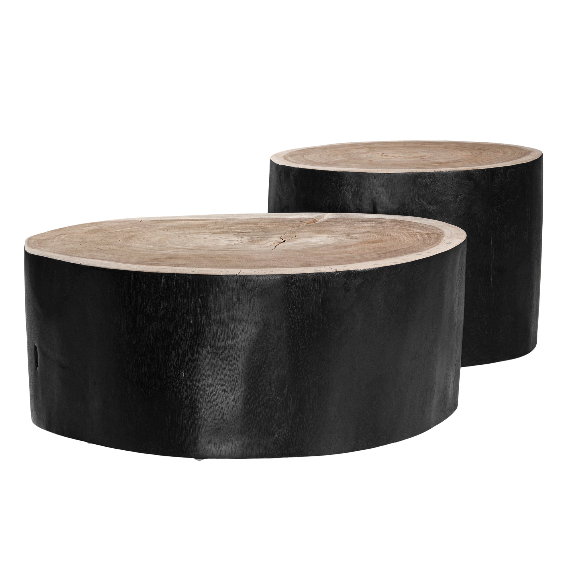 Uniqwa Trunk Coffee Table
