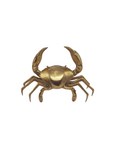 Brass Mud Crab