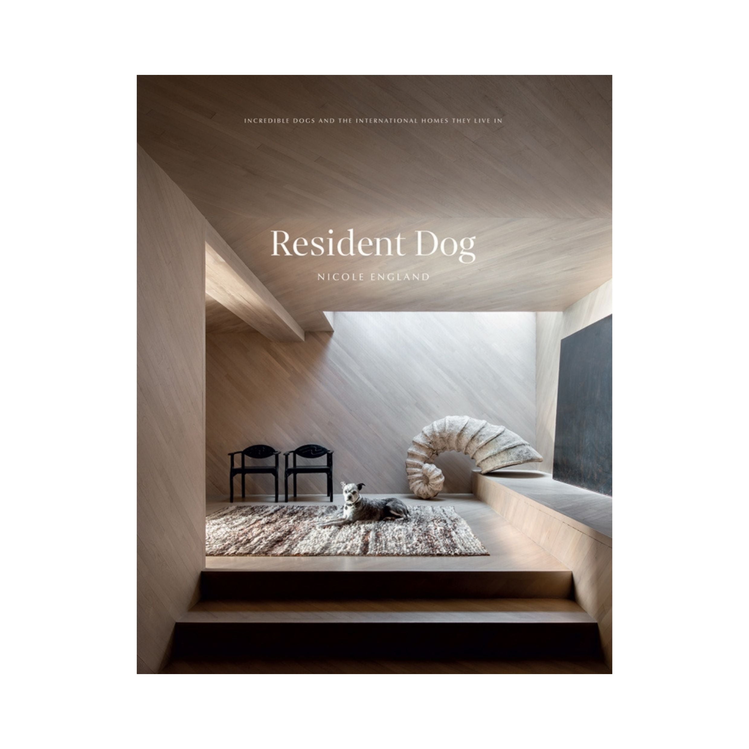 Resident Dog (Vol. 2)