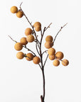 Longan Spray - Natural