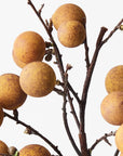 Longan Spray - Natural