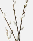 Pussy Willow Spray - Brown