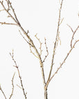 Twig Spray - Brown