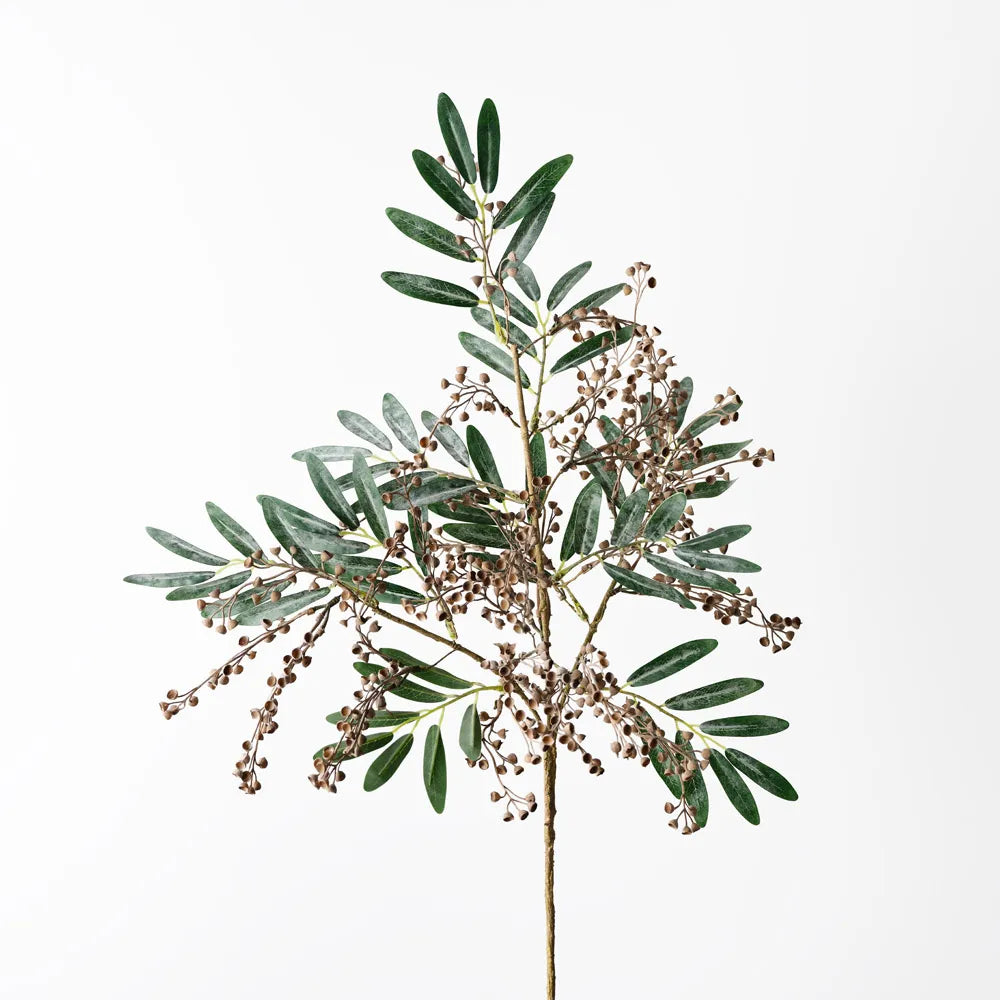 Seed Spray - Coffee