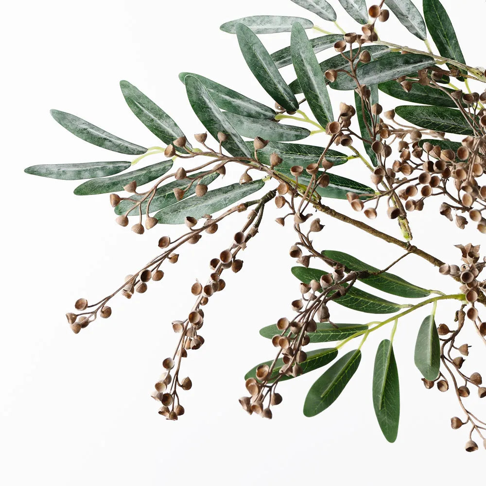Seed Spray - Coffee