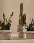 Arizona Ceramic Pot