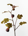 Fig Spray - Eggplant