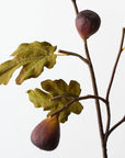 Fig Spray - Eggplant