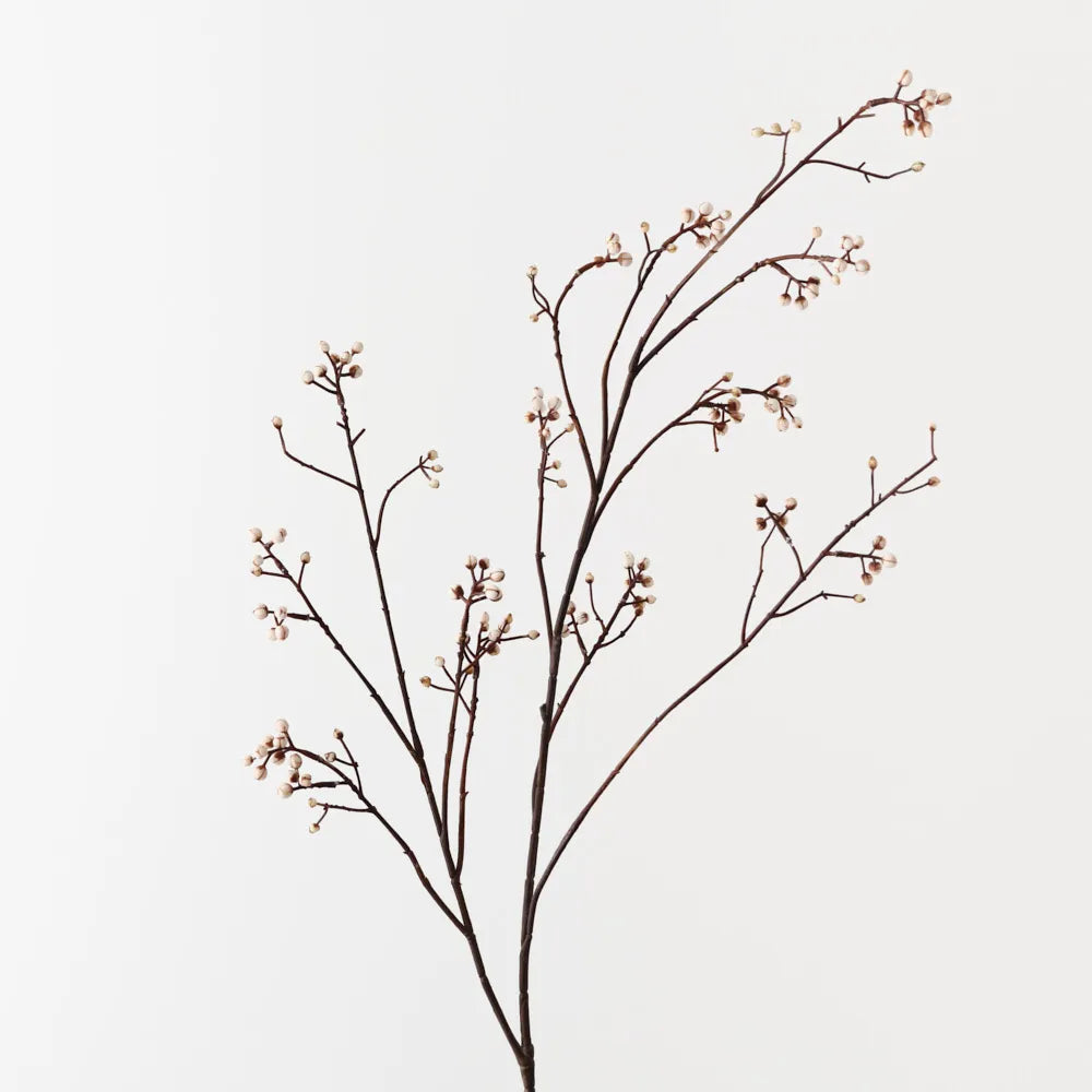 Tallow Spray