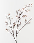 Tallow Spray