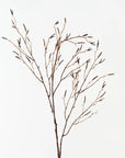 Birch Berry Spray - Brown