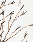 Birch Berry Spray - Brown