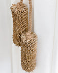 Banksia Tassels